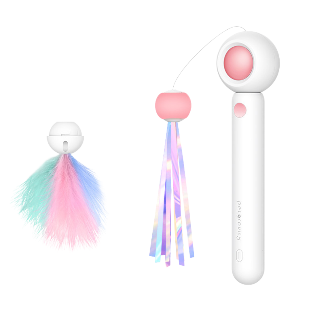 Fatty™ Dashing Laser Toy