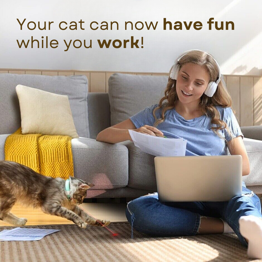 Fatty™ Cat Laser Collar