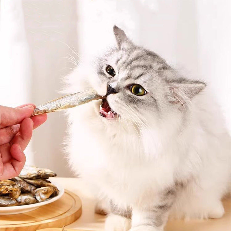 Fatty™ Smelt Cat Treat