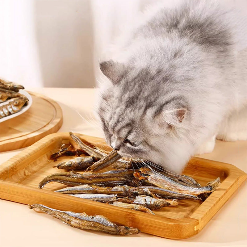 Fatty™ Smelt Cat Treat