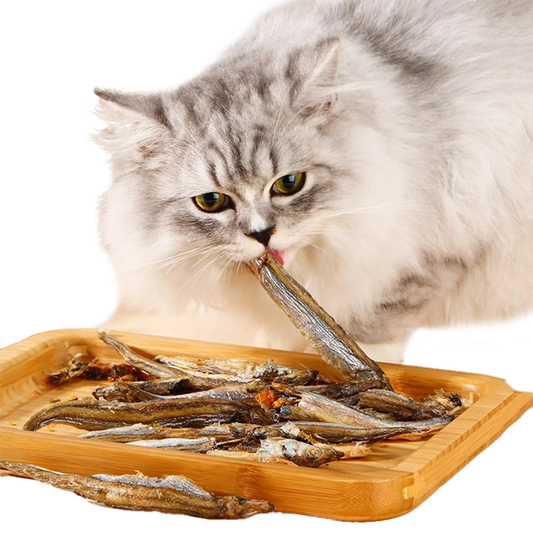 Fatty™ Smelt Cat Treat